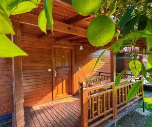 Nergis Bungalov Adrasan