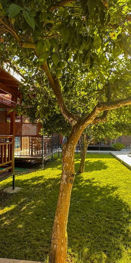 Adrasan Bungalov Nergis